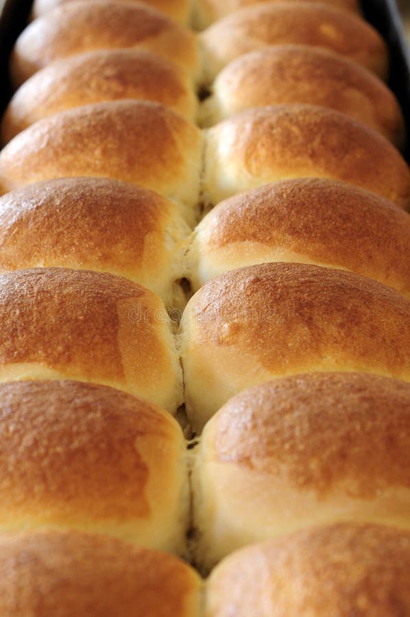 Orderly rows of just out of bread baked. Orderly rows of just out of bread baked