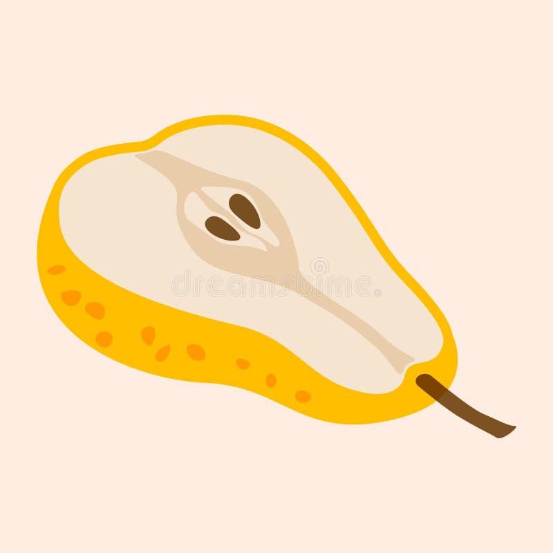 Päronfrukt. Rena, söta, ekologiskt päron som skurits bort från ett utsökt, färskt, utsökt trädgårdsfrukter för hälsosam diet halva vektor illustrationer
