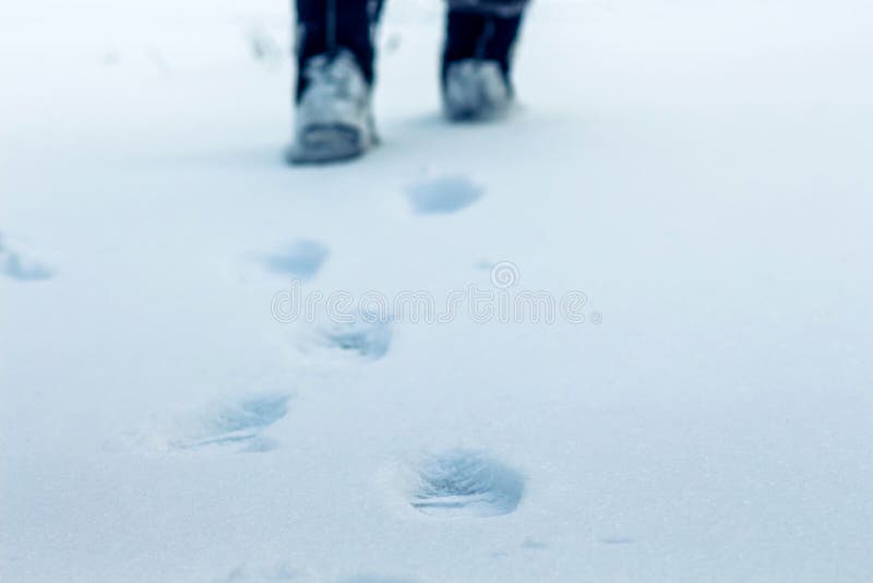 På en vinterdag på snöspåren av mänskliga ben var synlig, in royaltyfri bild På en vinterdag på snöspåren av mänskliga ben var synlig, in royaltyfri bild