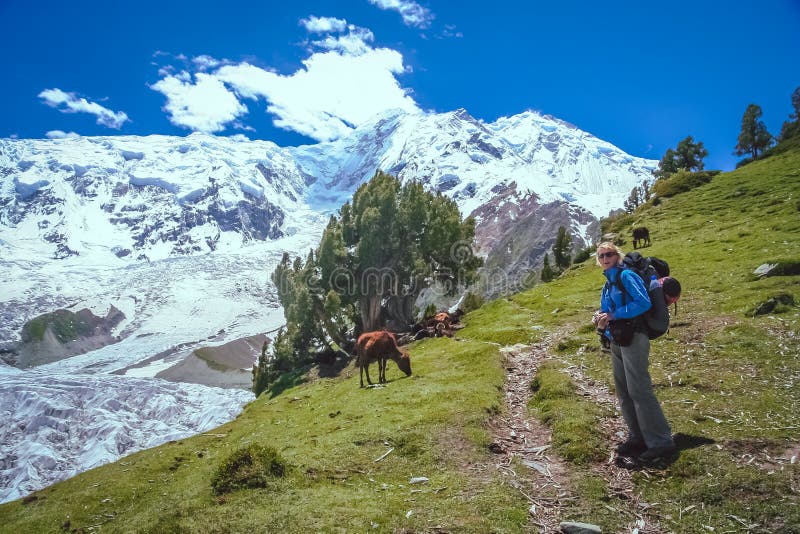På slingan till Nanga Parbat royaltyfri bild På slingan till Nanga Parbat royaltyfri bild