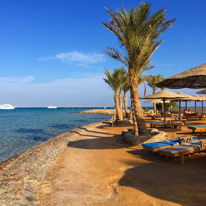 På stranden i Egypten fotografering för bildbyråer På stranden i Egypten fotografering för bildbyråer