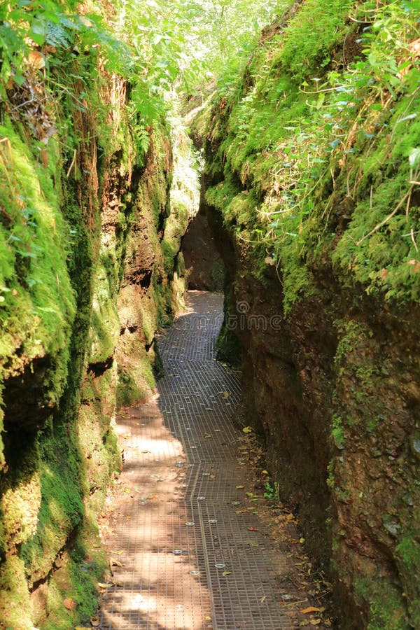 På väg mot Drachenschlucht drakons canyon i Eisenach, Thuringia, Tyskland royaltyfri foto På väg mot Drachenschlucht drakons canyon i Eisenach, Thuringia, Tyskland royaltyfri foto