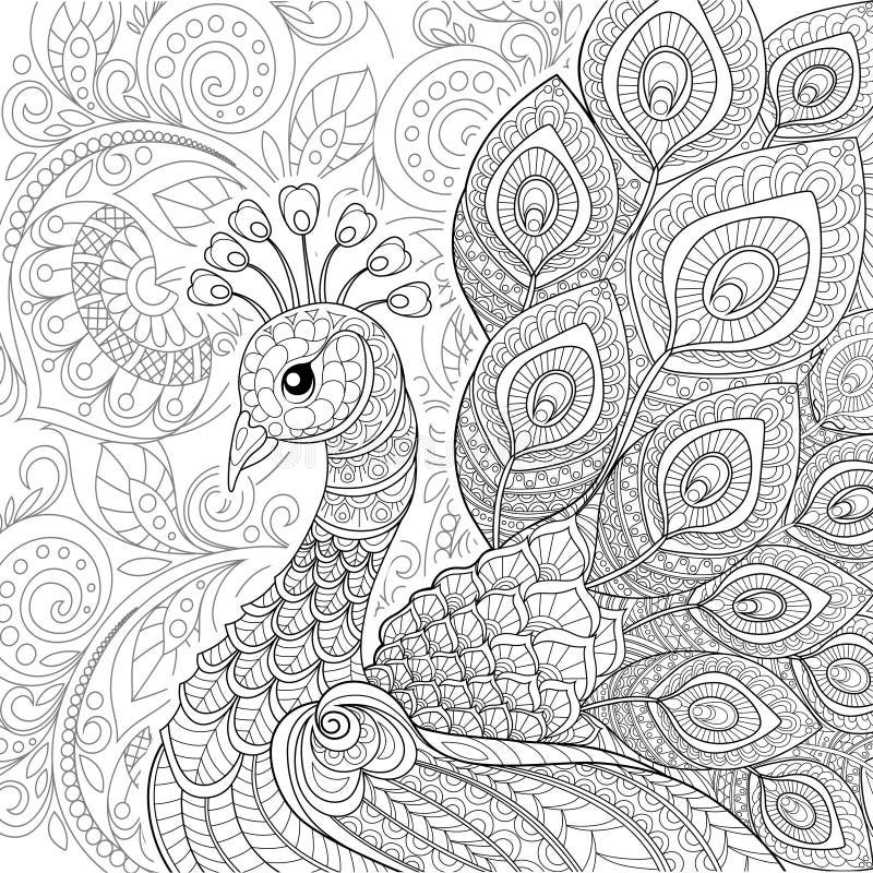 Påfågel i zentanglestil Vuxen antistress färgläggningsida stock illustrationer Påfågel i zentanglestil Vuxen antistress färgläggningsida stock illustrationer