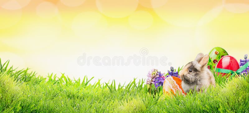 Påskbakgrund med kaninen, ägg och blommor på gräs och solig himmel med bokeh, baner