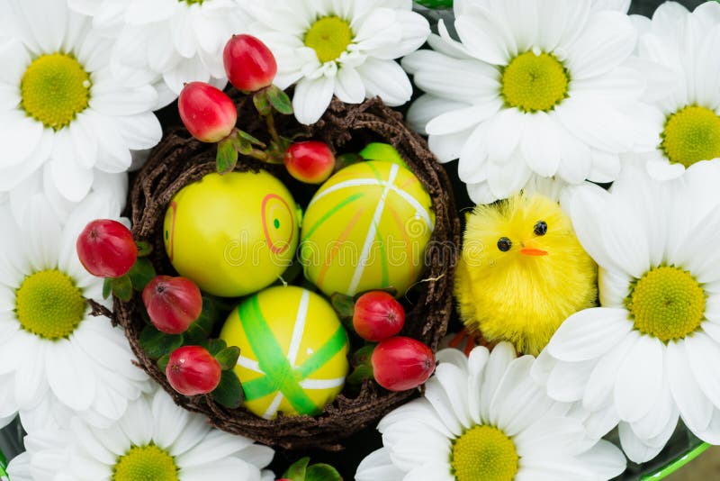 Påskhälsningkort av nya blommor royaltyfria bilder Påskhälsningkort av nya blommor royaltyfria bilder