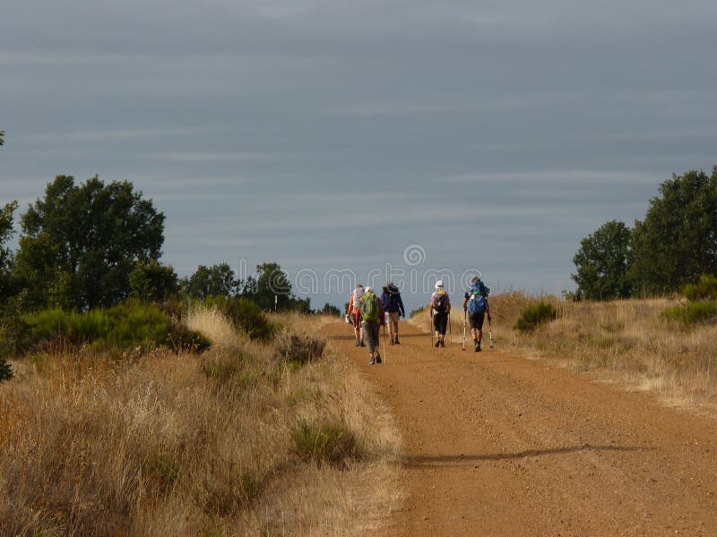 Pèlerin le long de la route de St James Homme marchant sur Camino De Santiago image stock Pèlerin le long de la route de St James Homme marchant sur Camino De Santiago image stock