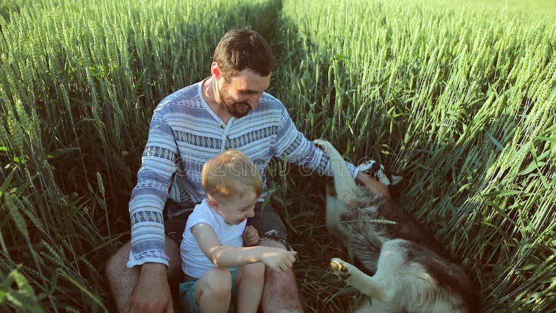 Père et fils jouant avec un chien sur le champ de blé Concept de la famille du jour de père banque de vidéos Père et fils jouant avec un chien sur le champ de blé Concept de la famille du jour de père banque de vidéos