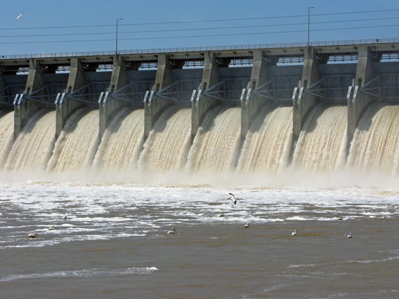 Pélicans pêchant au-dessous du barrage photo stock Pélicans pêchant au-dessous du barrage photo stock