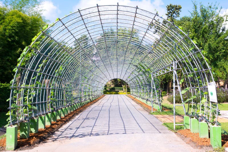 Pérgola de acero curvada en el parque, fondo del cenador del metal imagenes de archivo Pérgola de acero curvada en el parque, fondo del cenador del metal imagenes de archivo