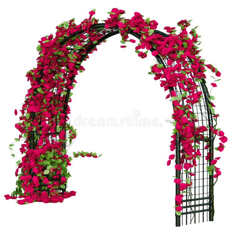 Pergola Ilustraciones Stock, Vectores, Y Clipart – (956 Ilustraciones