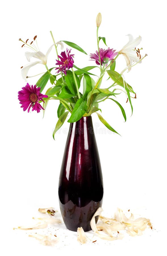 Pétalas caídas foto de stock