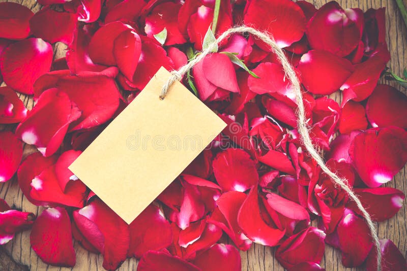 Download Pétalas Cor-de-rosa Vermelhas Foto de Stock - Imagem de valentine, bonito: 65580302