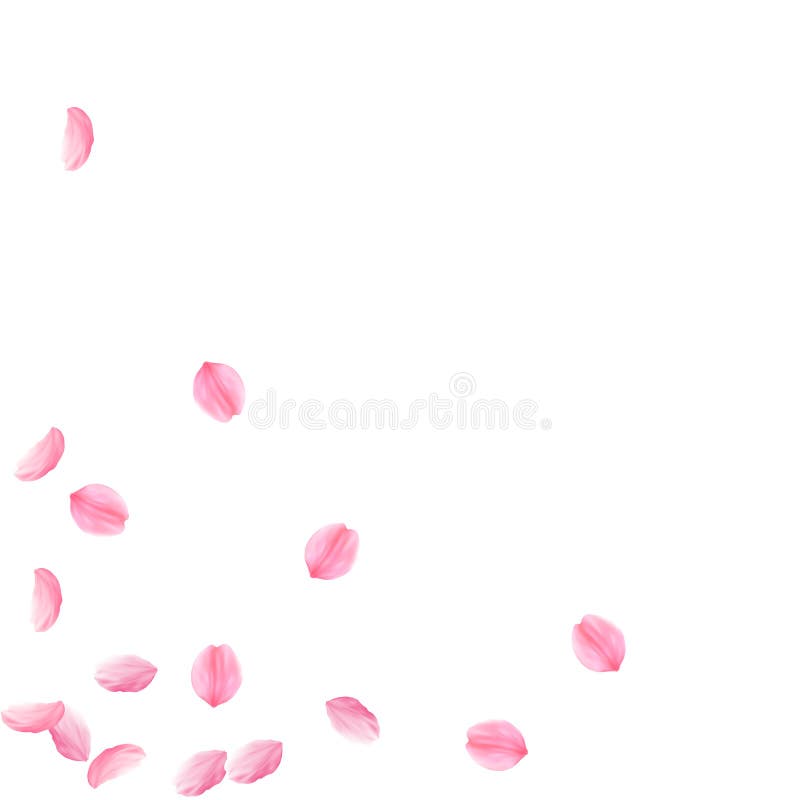 Pétales de Sakura tombant vers le bas Fleurs moyennes soyeuses roses romantiques Pétales clairsemés de cerise de vol éparpillemen