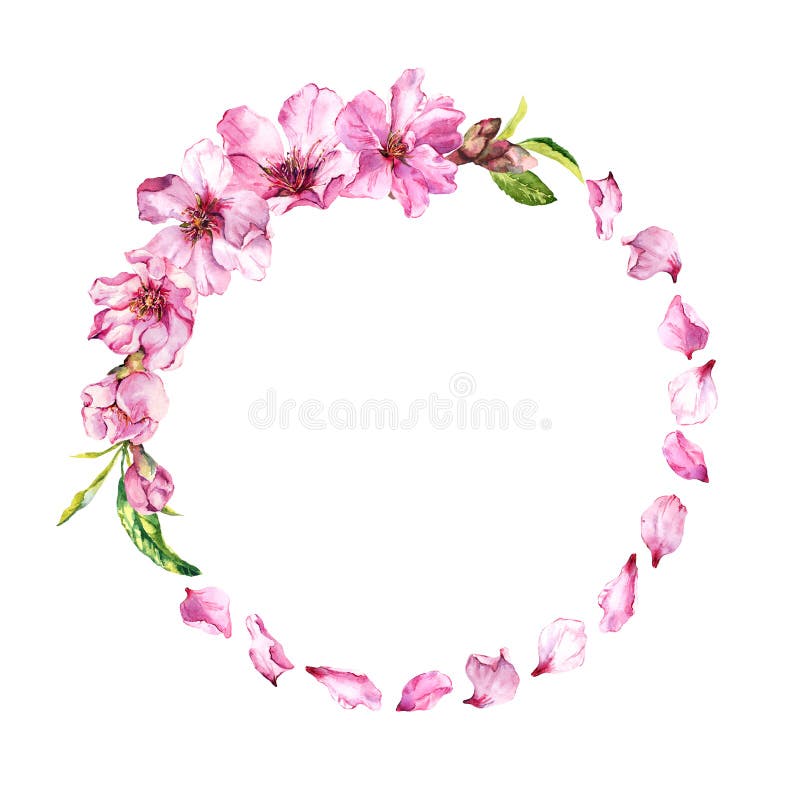 Pétales roses de cerise, fleur de Sakura, fleurs de cerise de ressort Guirlande florale Frontière ronde d'aquarelle illustration de vecteur Pétales roses de cerise, fleur de Sakura, fleurs de cerise de ressort Guirlande florale Frontière ronde d'aquarelle illustration de vecteur