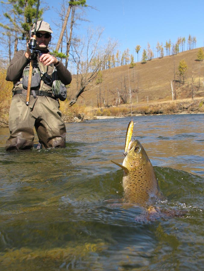 Fishing - fisherman catched big trout. Fishing - fisherman catched big trout