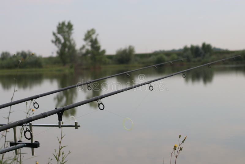 Pêche avec des tiges sur le lac images stock Pêche avec des tiges sur le lac images stock