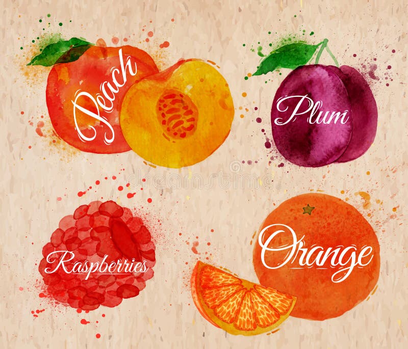 Pêche d'aquarelle de fruit, framboise, prune, orange dedans