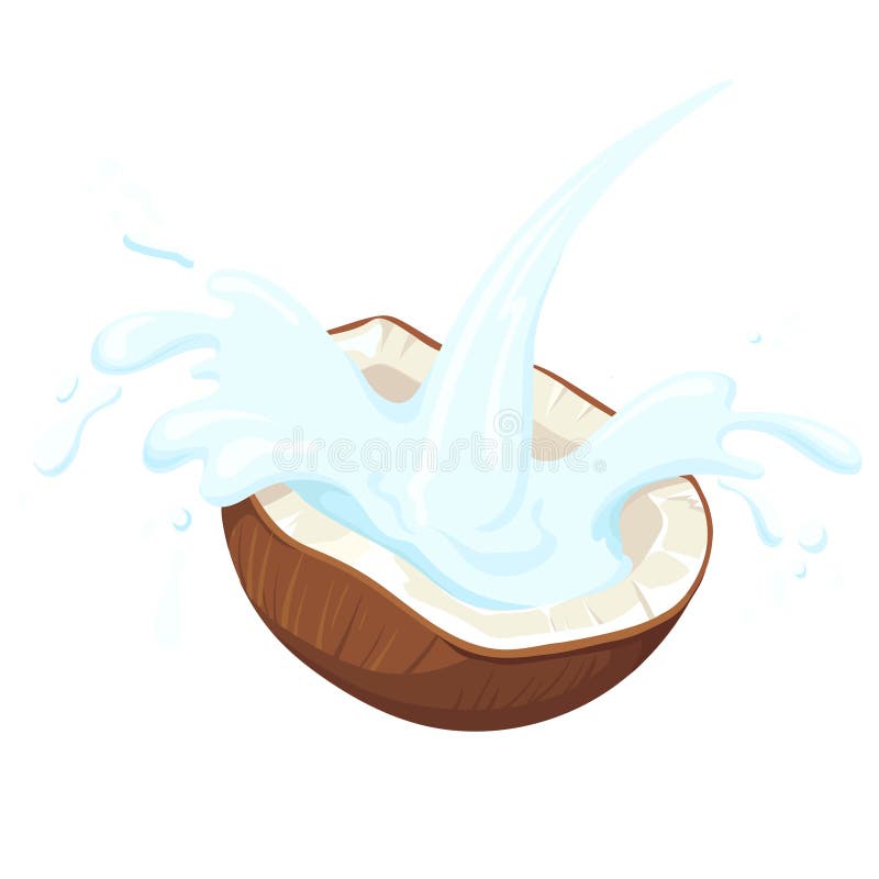 Półkos. owoce orzechowe z wektora coco palm z mlecznym kremowym pluskiem do świeżego picia tropikalnego jogurtu lub kosmetycznego. wector coco palm nut fruit z mlecznymi kremowymi plamami do świeżego tropikalnego picia jogurt lub kosmetyczny projekt kreskówki na białe tło.