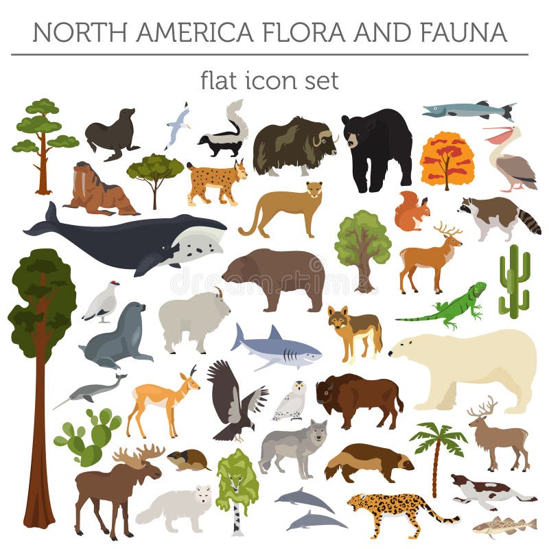 Północna Ameryka faun i flor mieszkania elementy Zwierzęta, ptaki i