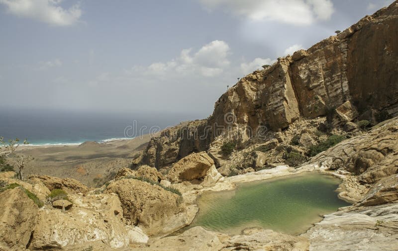 Pöl på en vagga, Dihamri Marine Protected Area, Socotraö, Yemen royaltyfri foto Pöl på en vagga, Dihamri Marine Protected Area, Socotraö, Yemen royaltyfri foto