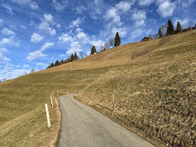 Păduri montane mixte și pășuni alpine într-un mediu de iarnă deasupra stațiunii turistice Engelberg, elveția stock image