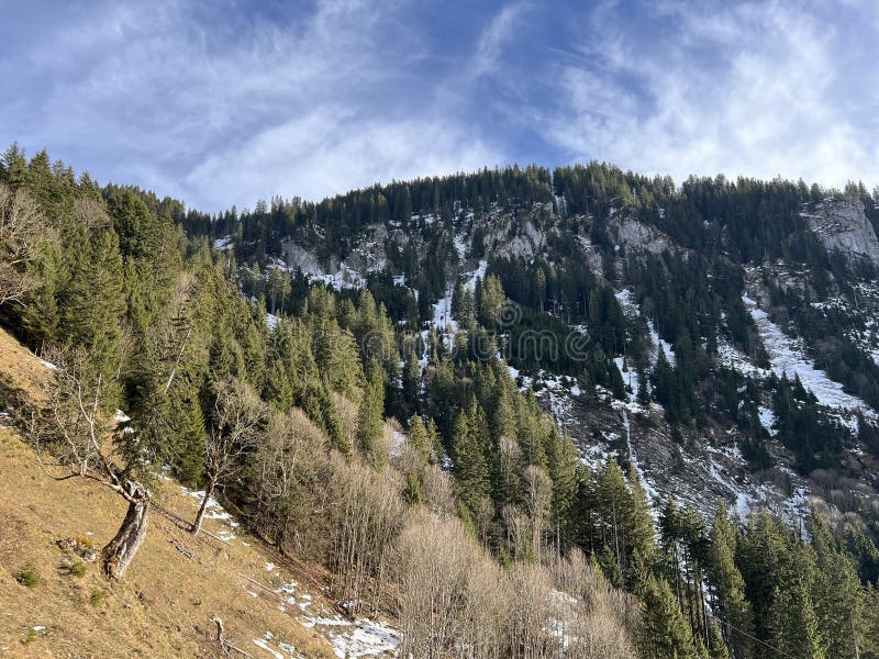 Păduri montane mixte și pășuni alpine într-un mediu de iarnă deasupra stațiunii turistice Engelberg, elveția stock image