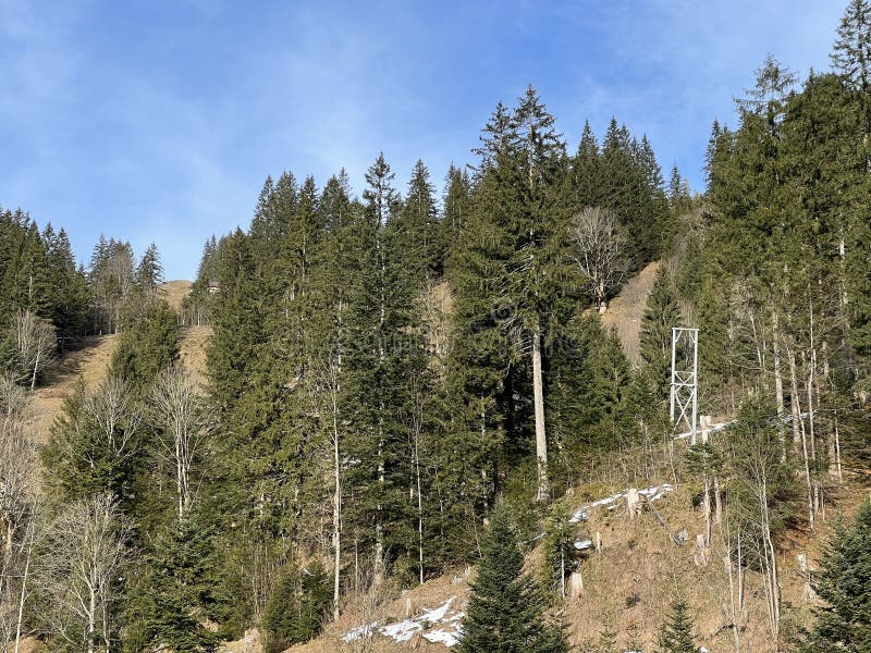 Păduri montane mixte și pășuni alpine într-un mediu de iarnă deasupra stațiunii turistice Engelberg, elveția stock photo