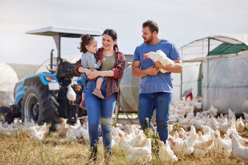 Părinți copii și pui la fermă, în afara agriculturii, educație pentru îngrijirea animalelor și producția de alimente. Familie feri royalty free stock photography