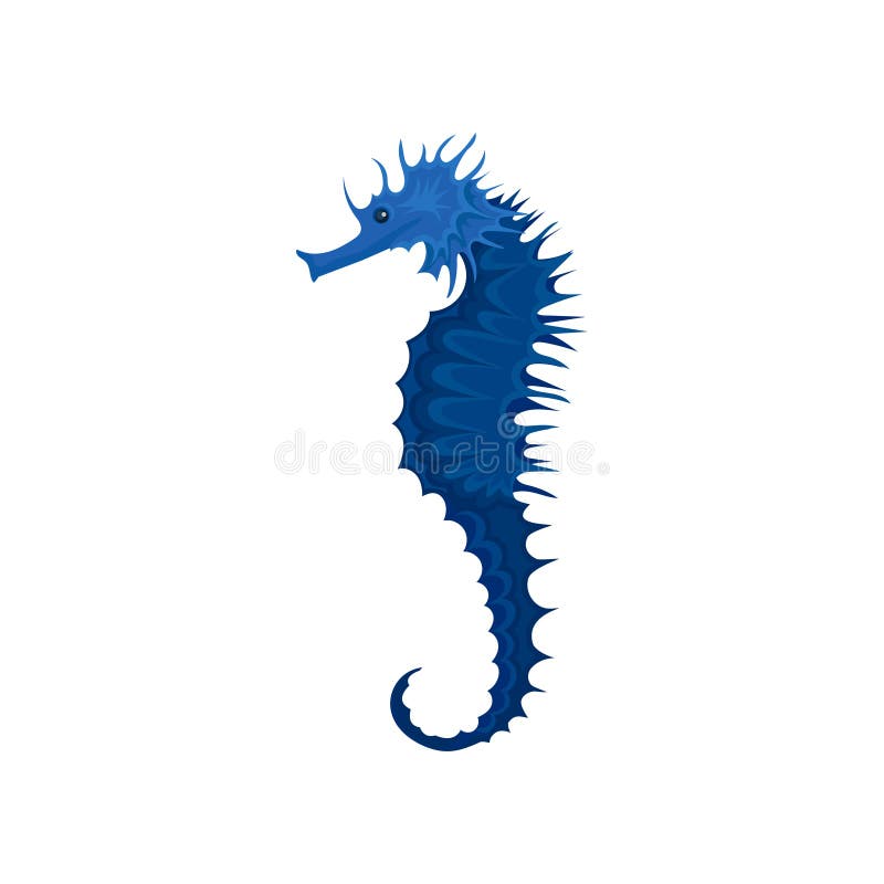 Płaska wektorowa ikona błękitny seahorse Egzotyczna morska istota Mały denny zwierzę Podwodny życie temat ilustracja wektor Płaska wektorowa ikona błękitny seahorse Egzotyczna morska istota Mały denny zwierzę Podwodny życie temat ilustracja wektor