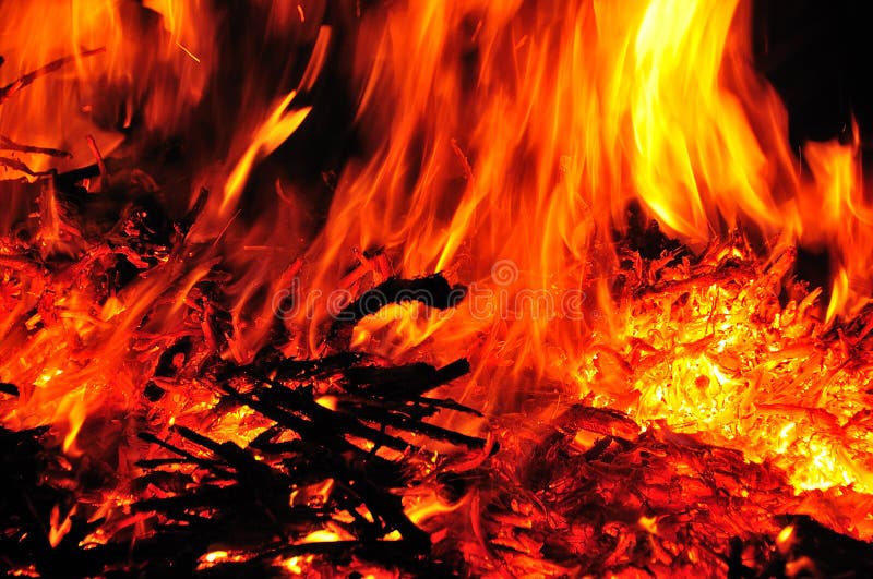 Close shot of a wild dangerous fire. Close shot of a wild dangerous fire