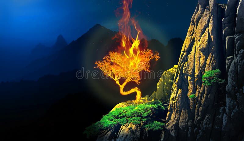Płonąca roślina krzewowa w klifie góry