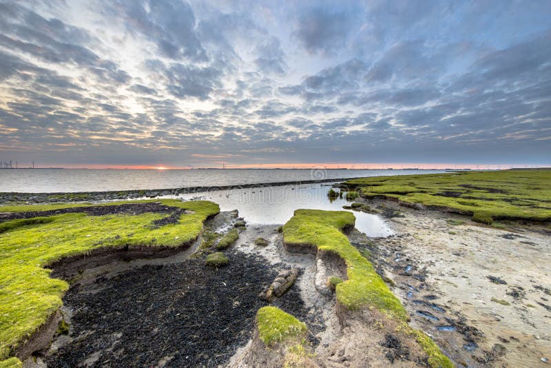 Pływowy bagno Dollard przy wykop z ręki Samochód dostawczy Reide obrazy stock Pływowy bagno Dollard przy wykop z ręki Samochód dostawczy Reide obrazy stock