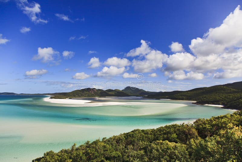 QE Whit Beach Forest stockfoto