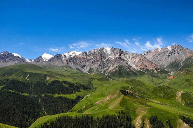 Qilian-Berge, mit Schnee auf der Spitze und Wald an der Unterseite, im Frühjahr mit klarem blauem Himmel lizenzfreies stockfoto Qilian-Berge, mit Schnee auf der Spitze und Wald an der Unterseite, im Frühjahr mit klarem blauem Himmel lizenzfreies stockfoto