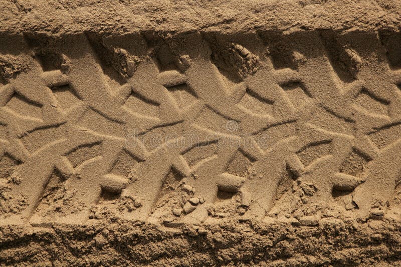 Quad car tires footprint in beach sand