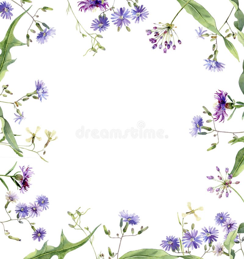 Quadratischer Aquarellrahmen von blauen Blumen vektor abbildung Quadratischer Aquarellrahmen von blauen Blumen vektor abbildung