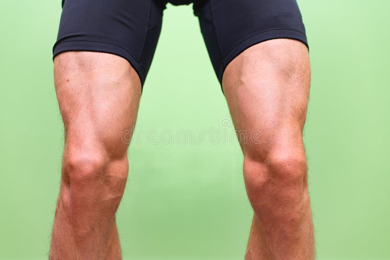 Quadriceps Muscles in Tension Stock Image Image of muscles, physical