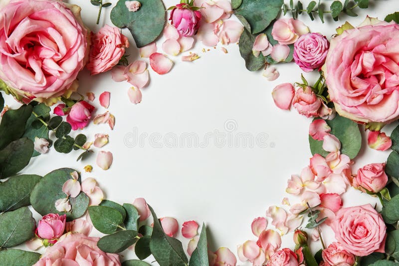 Quadro bonito feito de rosas e do eucalipto cor-de-rosa no fundo branco fotos de stock Quadro bonito feito de rosas e do eucalipto cor-de-rosa no fundo branco fotos de stock