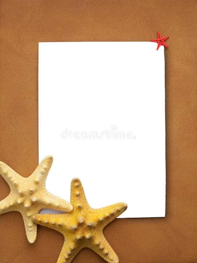 Quadro com estrelas de mar imagem de stock royalty free Quadro com estrelas de mar imagem de stock royalty free