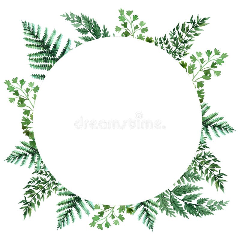 Quadro da aquarela com folhas tropicais e folhas dos houseplants greenery succulent Ilustra??o floral do projeto element Aperfei? ilustração do vetor Quadro da aquarela com folhas tropicais e folhas dos houseplants greenery succulent Ilustra??o floral do projeto element Aperfei? ilustração do vetor