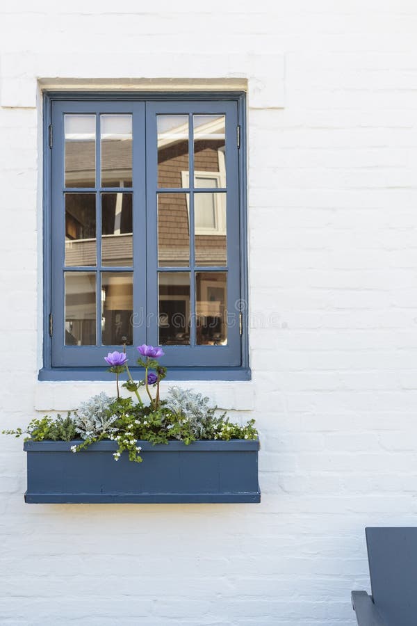 A blue window frame of a white family home, with a flower planter box and purple flowers. Also seen is the reflection of a neighboring home, and a blue porch chair. A blue window frame of a white family home, with a flower planter box and purple flowers. Also seen is the reflection of a neighboring home, and a blue porch chair.