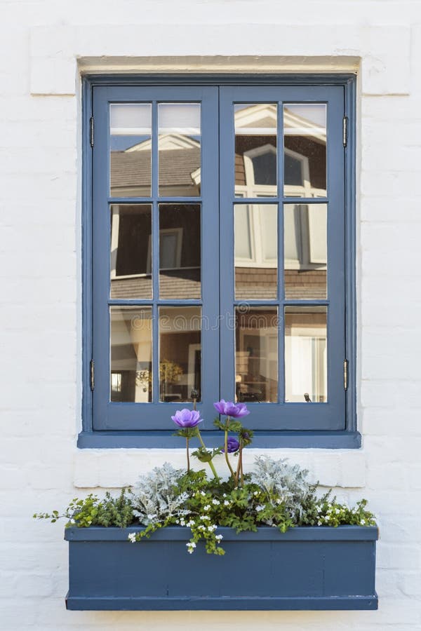 A blue window frame of a white family home, with a flower planter box and purple flowers. Also seen is the reflection of a neighboring home. A blue window frame of a white family home, with a flower planter box and purple flowers. Also seen is the reflection of a neighboring home.