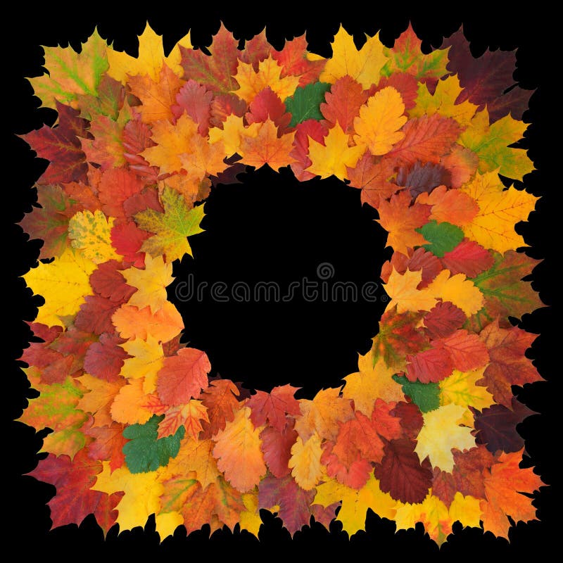 quadro decorativo Quadrado-dado forma feito do bordo da queda, do espinho colorido e das folhas do Linden, isoladas no preto fotografia de stock quadro decorativo Quadrado-dado forma feito do bordo da queda, do espinho colorido e das folhas do Linden, isoladas no preto fotografia de stock
