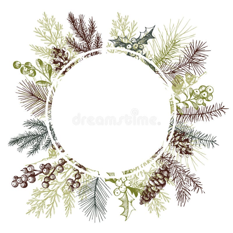 Quadro do vetor com as plantas tiradas mão do Natal ilustração stock Quadro do vetor com as plantas tiradas mão do Natal ilustração stock