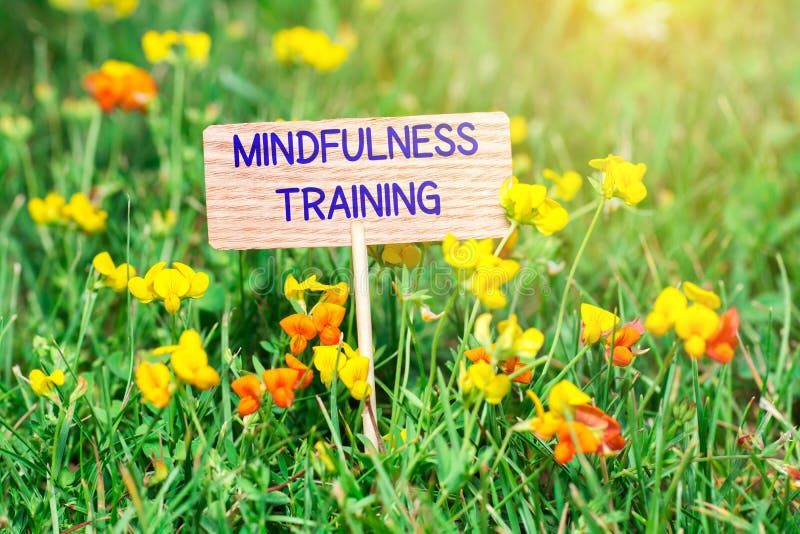 Quadro indicador do treinamento do Mindfulness foto de stock Quadro indicador do treinamento do Mindfulness foto de stock