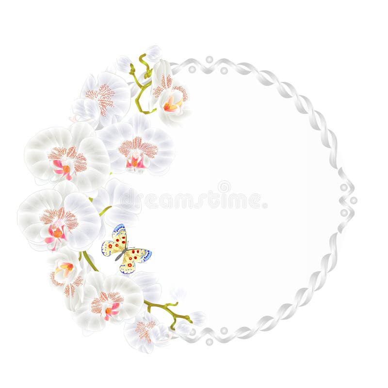 Quadro redondo do vetor floral com Phalaenopsis das plantas tropicais de flores brancas das orquídeas e vintage pequeno bonito da ilustração do vetor Quadro redondo do vetor floral com Phalaenopsis das plantas tropicais de flores brancas das orquídeas e vintage pequeno bonito da ilustração do vetor