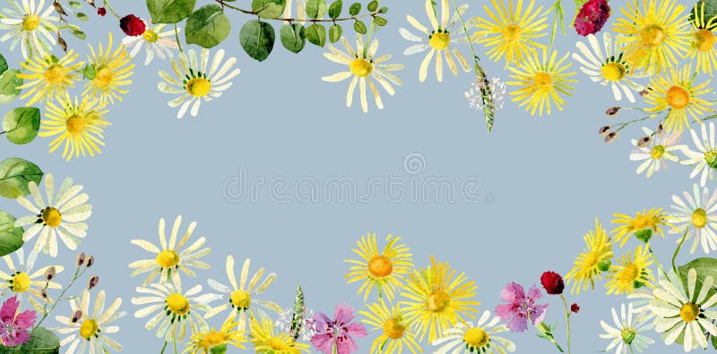 Quadro retangular de flores selvagens da aquarela selvagem ilustração stock Quadro retangular de flores selvagens da aquarela selvagem ilustração stock
