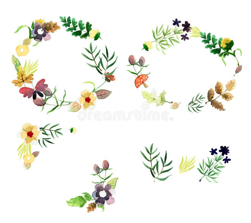 Quadros florais decorativos do outono com folhas e flores do verde no estilo da aquarela Aperfeiçoe elementos do projeto para eco ilustração stock Quadros florais decorativos do outono com folhas e flores do verde no estilo da aquarela Aperfeiçoe elementos do projeto para eco ilustração stock