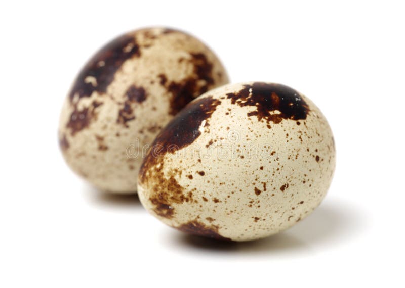 Quail egg stock photo. Image of diet, background, delicacy 110732148