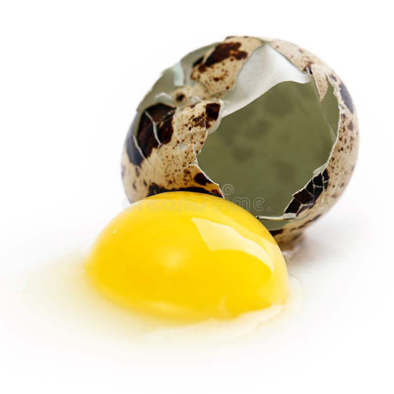 Egg Yolk Protein on the Flour for Bakery Stock Photo Image of food